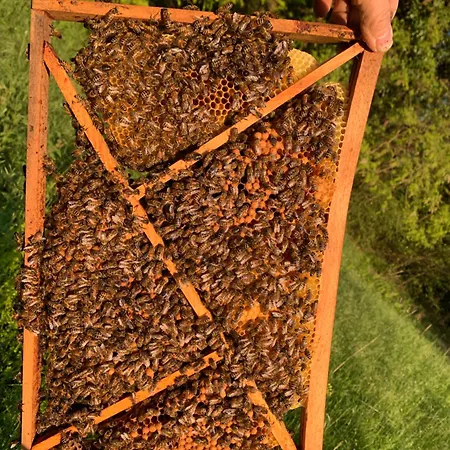 Σαλέ Les Bouquetins