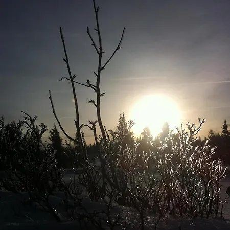 Chalet Les Bouquetins *