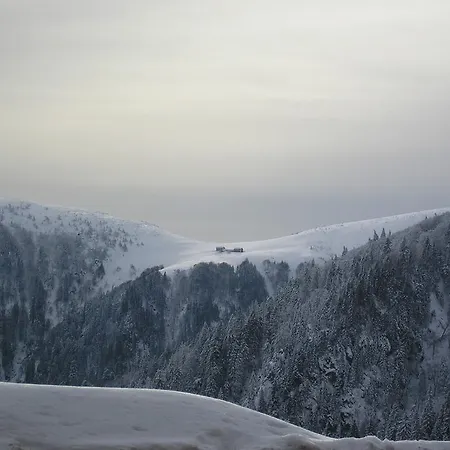 Les Bouquetins Stosswihr