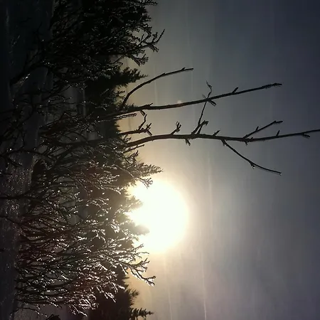 Les Bouquetins Σαλέ Stosswihr