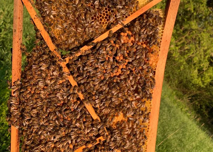 Chalet Les Bouquetins