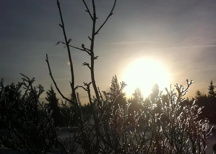 Chalet Les Bouquetins *