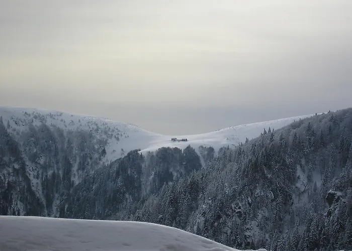 Les Bouquetins Stosswihr