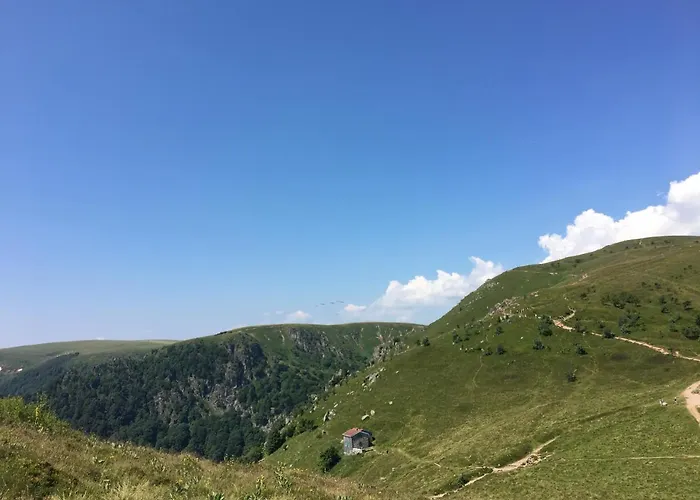 Les Bouquetins Chalet